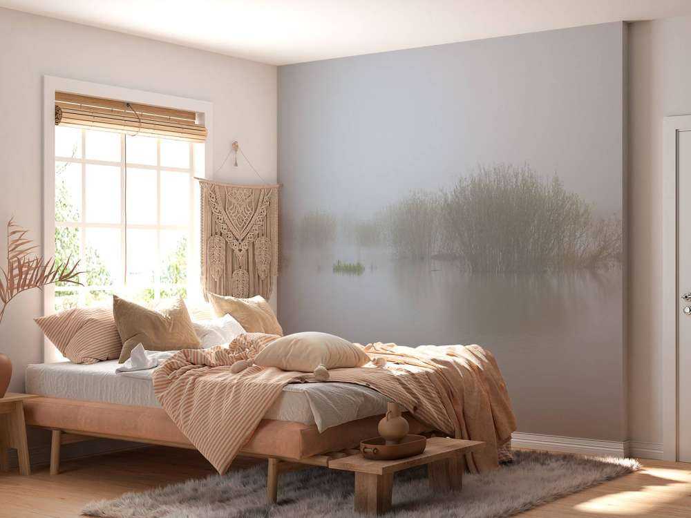 Mgła w rezerwacie przyrody