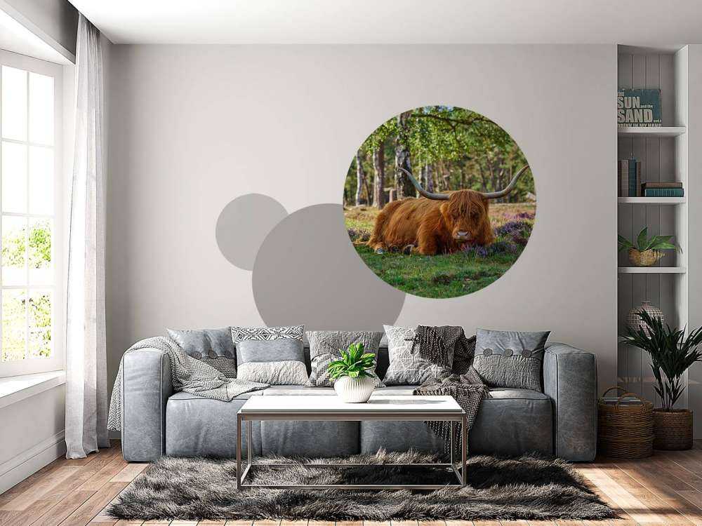 Odpoczywająca szkocka rasa wyżynna