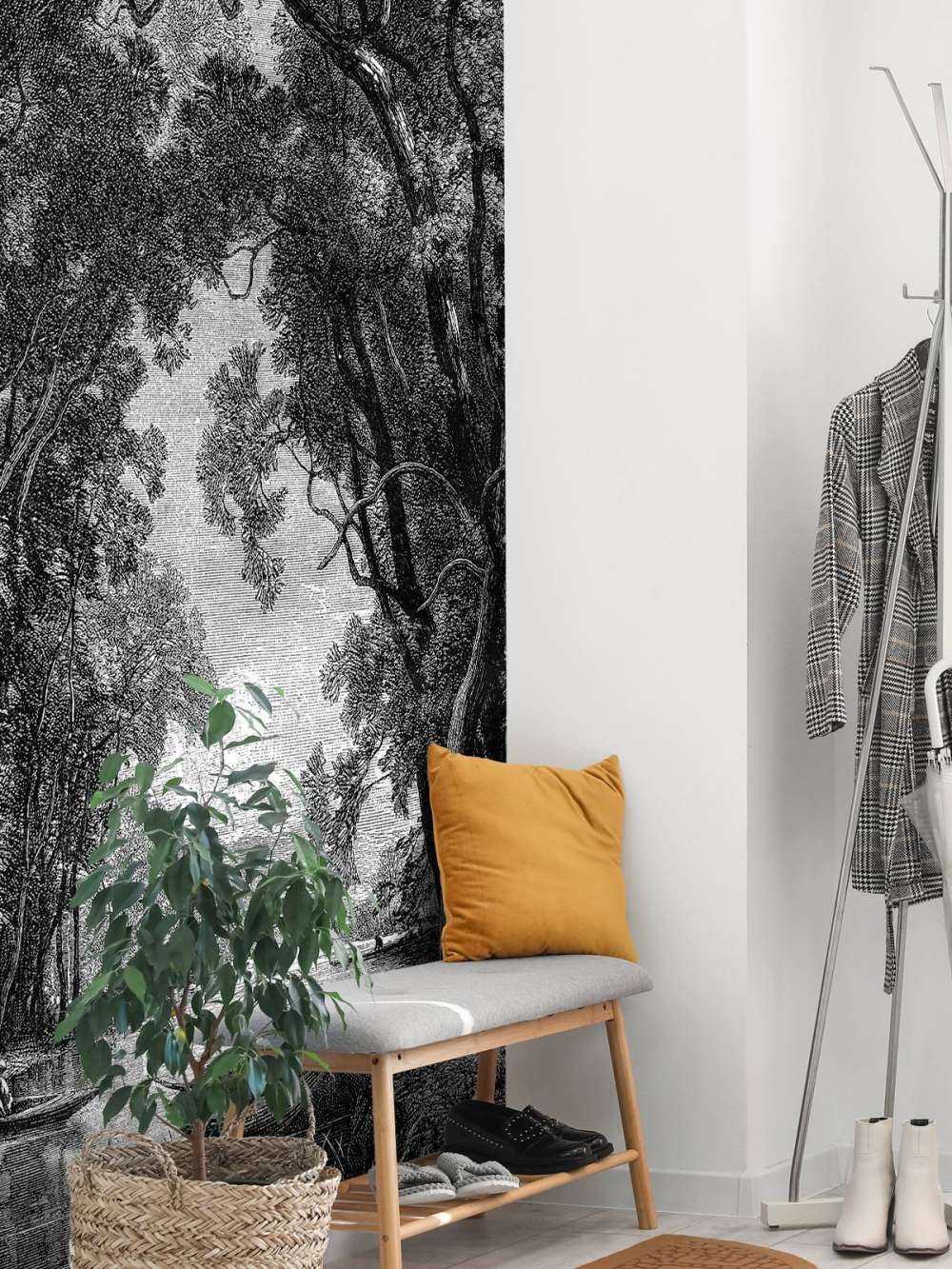 Stara rzeka w dżungli