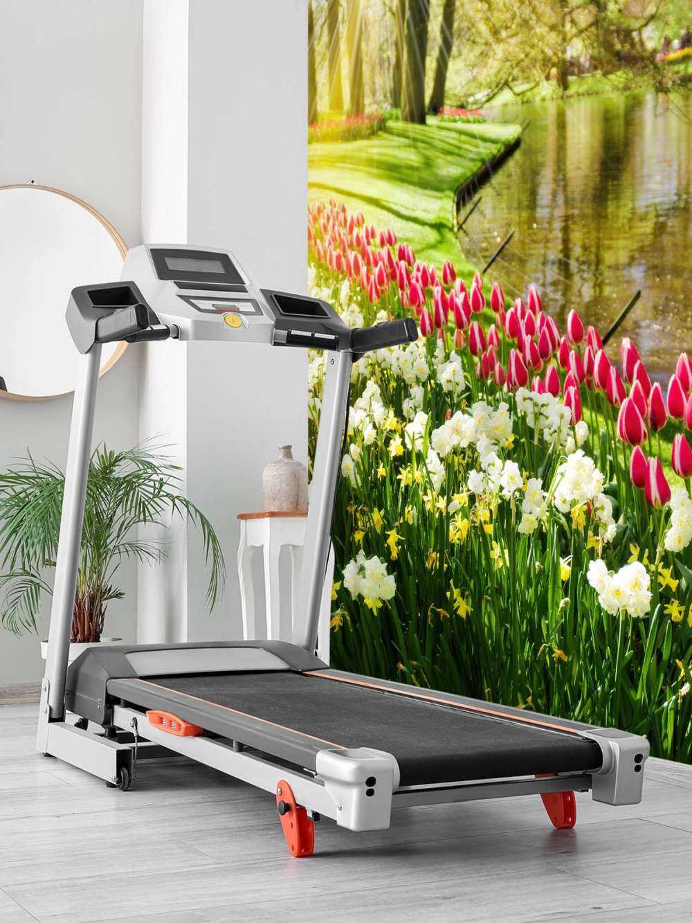 Kwiaty w słonecznym parku