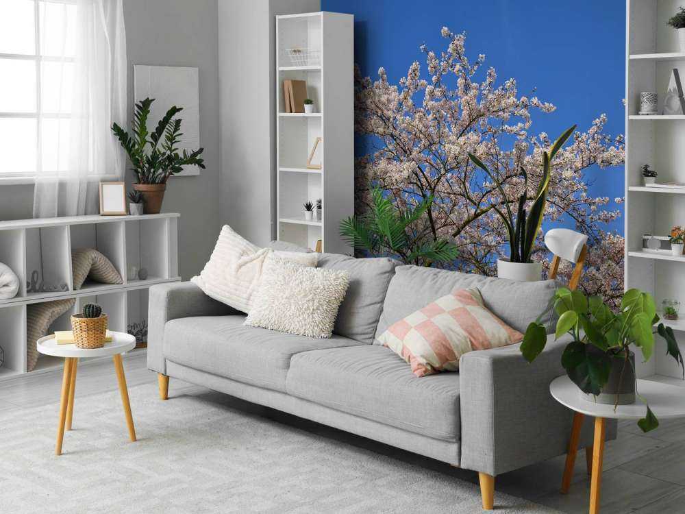 Kwiat z błękitem nieba