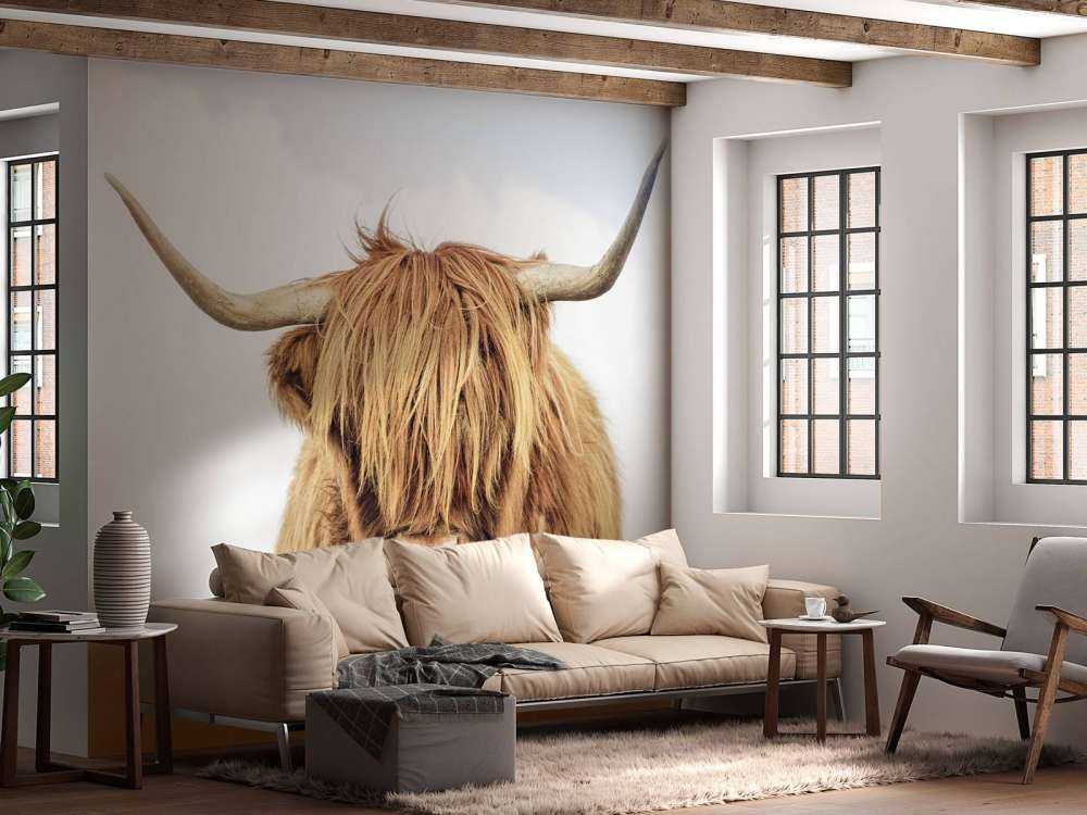 Zbliżenie na szkocką rasę wyżynna