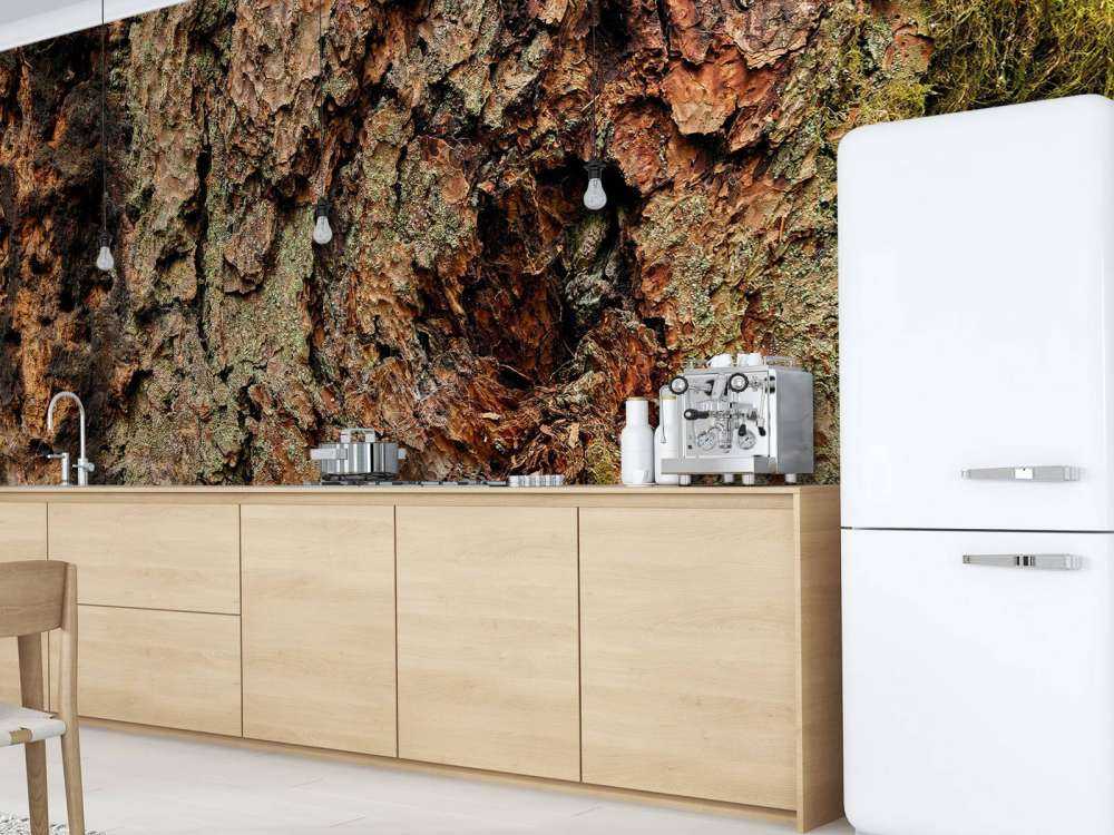 Kora drzewna stare drzewo