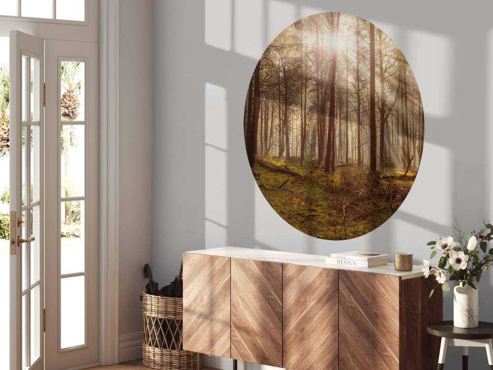 Las z wysokimi drzewami