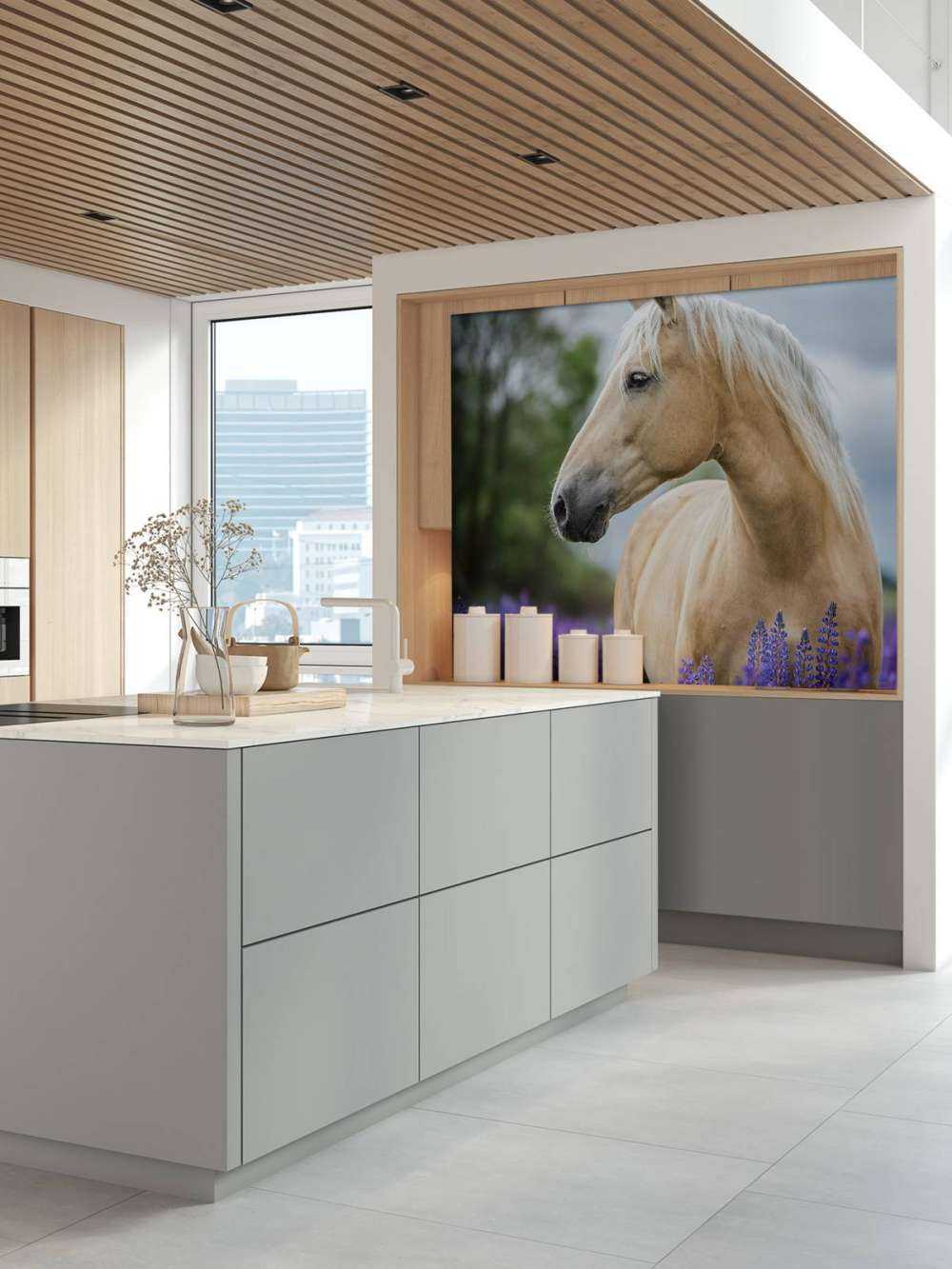 Koń między lawendą