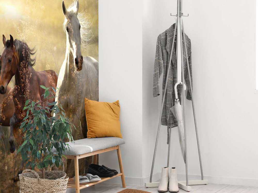 Konie galopujące o zachodzie słońca