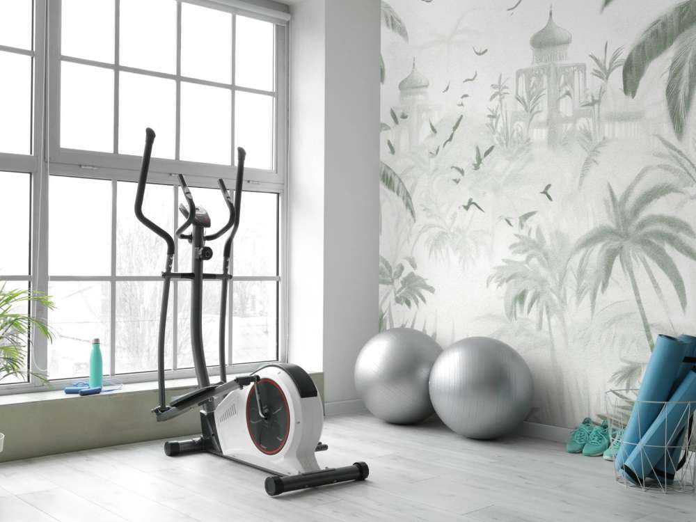 Ogród Orientalny o Świcie, zielony