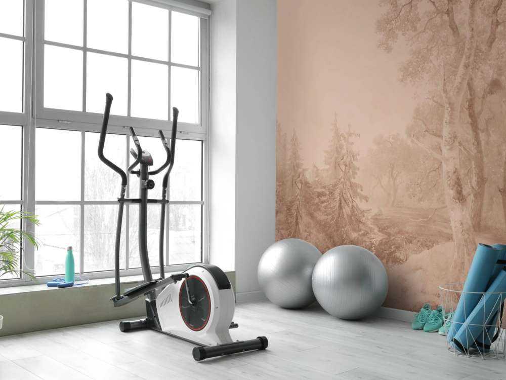 Krajobraz leśny Terra #2