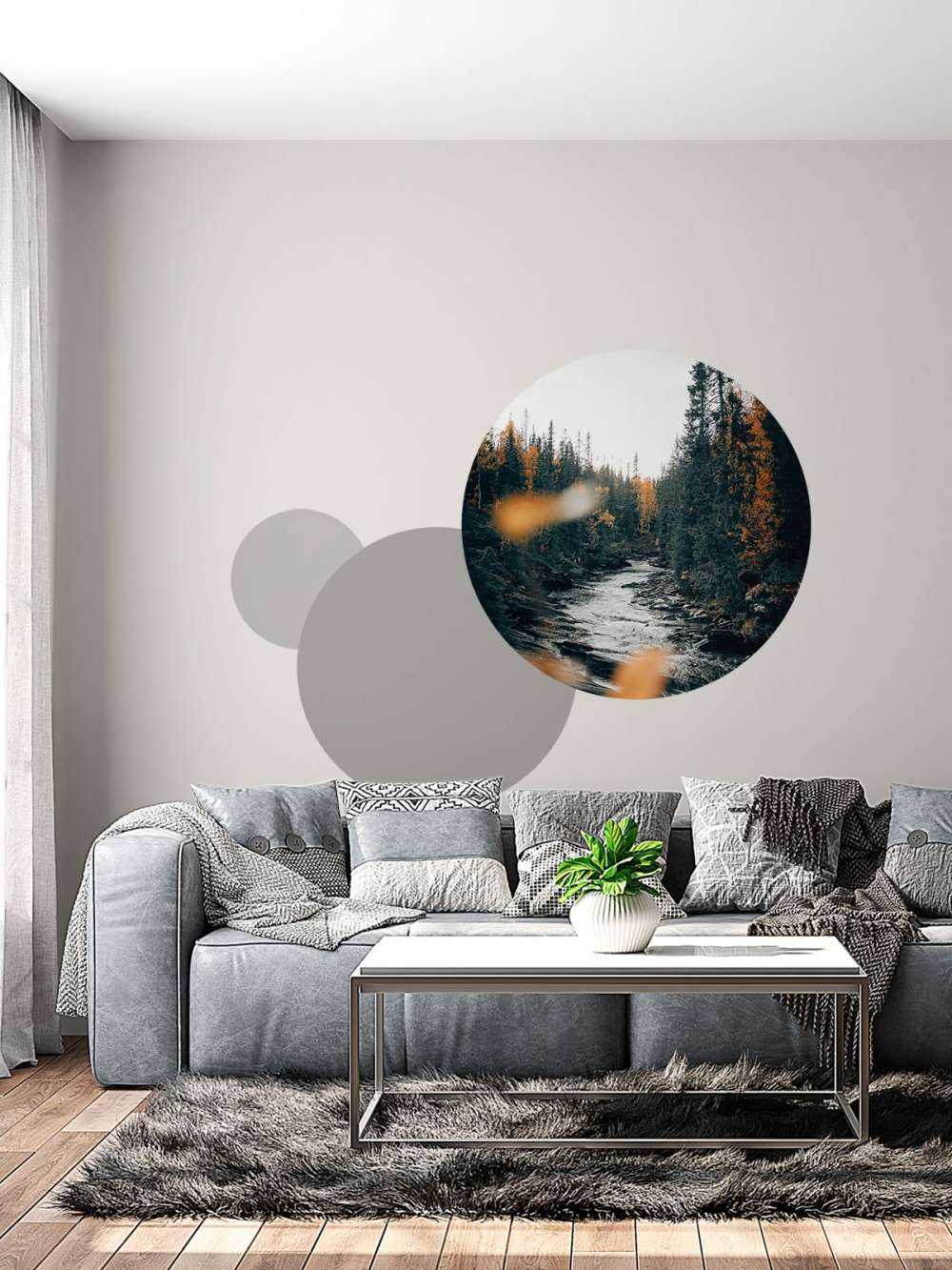 Zaczarowany jesienny las