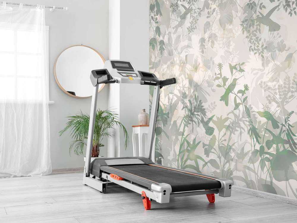 Symfonia Ogrodowa w Ciemnej Zieleni