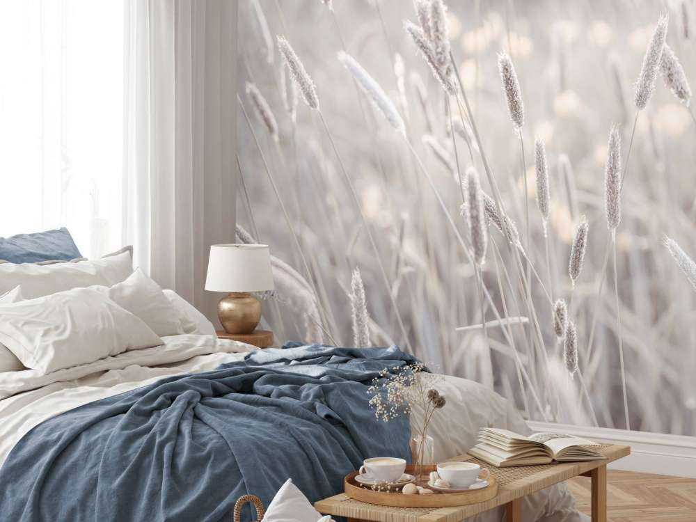 Zbliżenie na łąkę