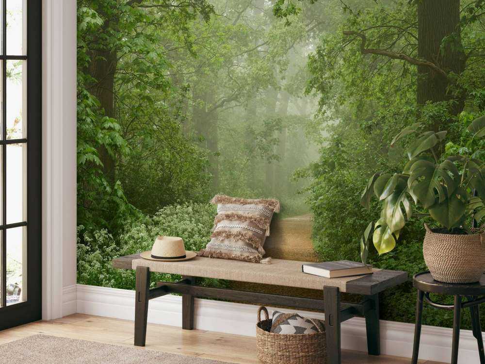 Mglisty las z drogą