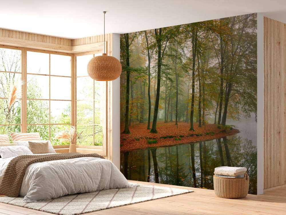 Odbicie drzew w stawie