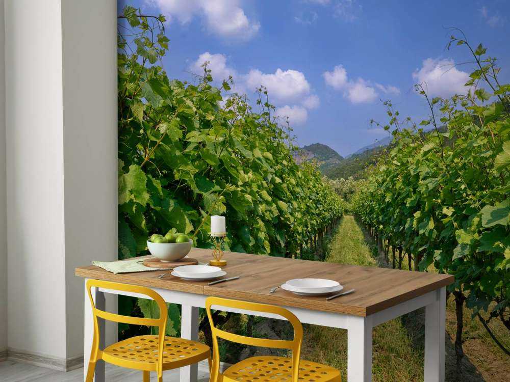 Winnica we Włoszech