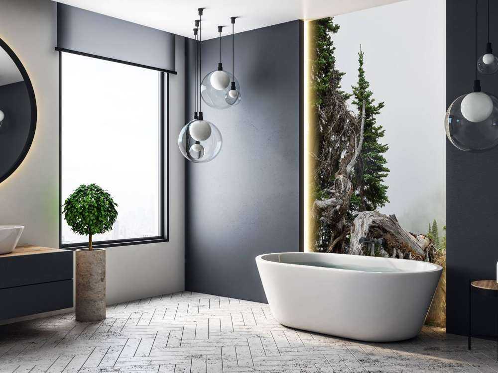 Drzewa i stare drzewa 