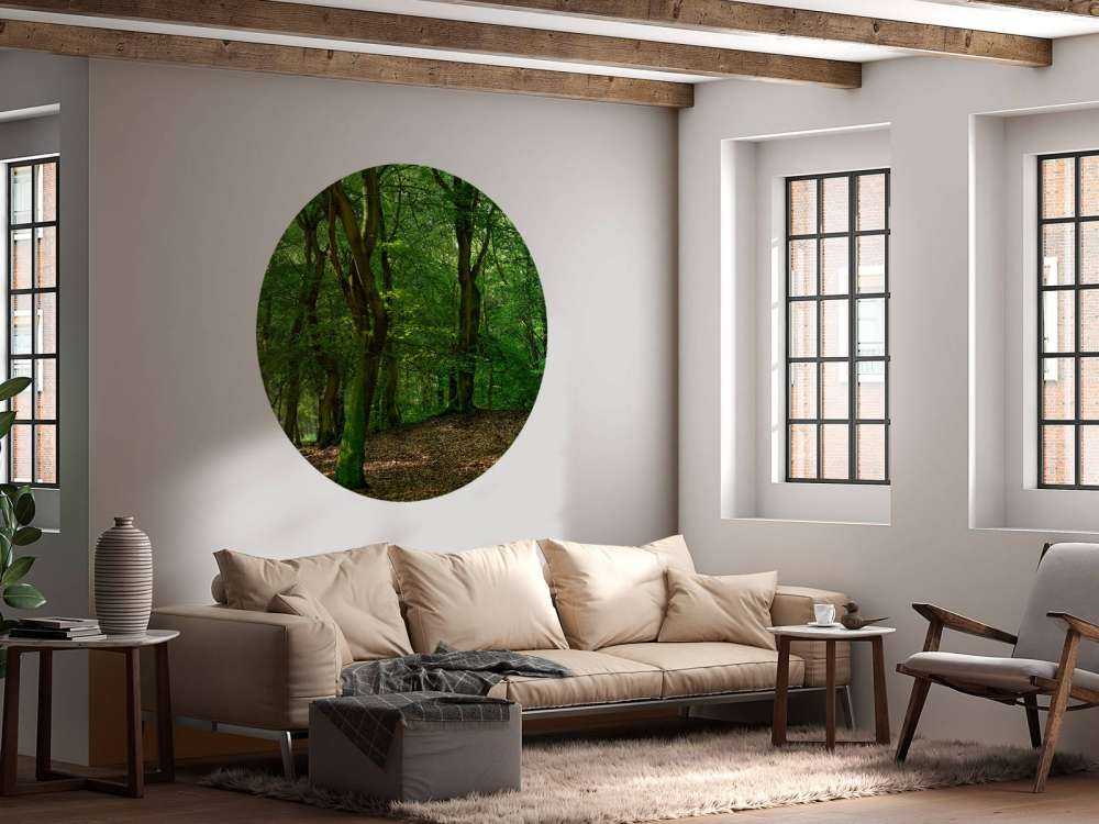 Drzewa z zielonymi liśćmi 