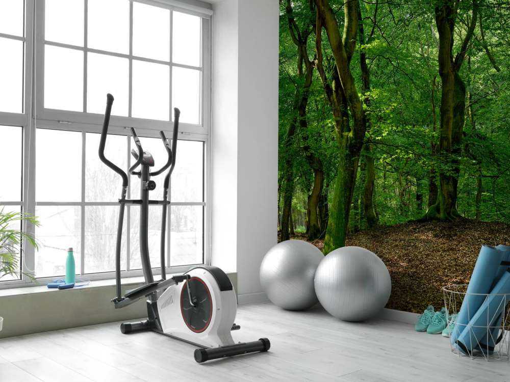 Drzewa z zielonymi liśćmi 