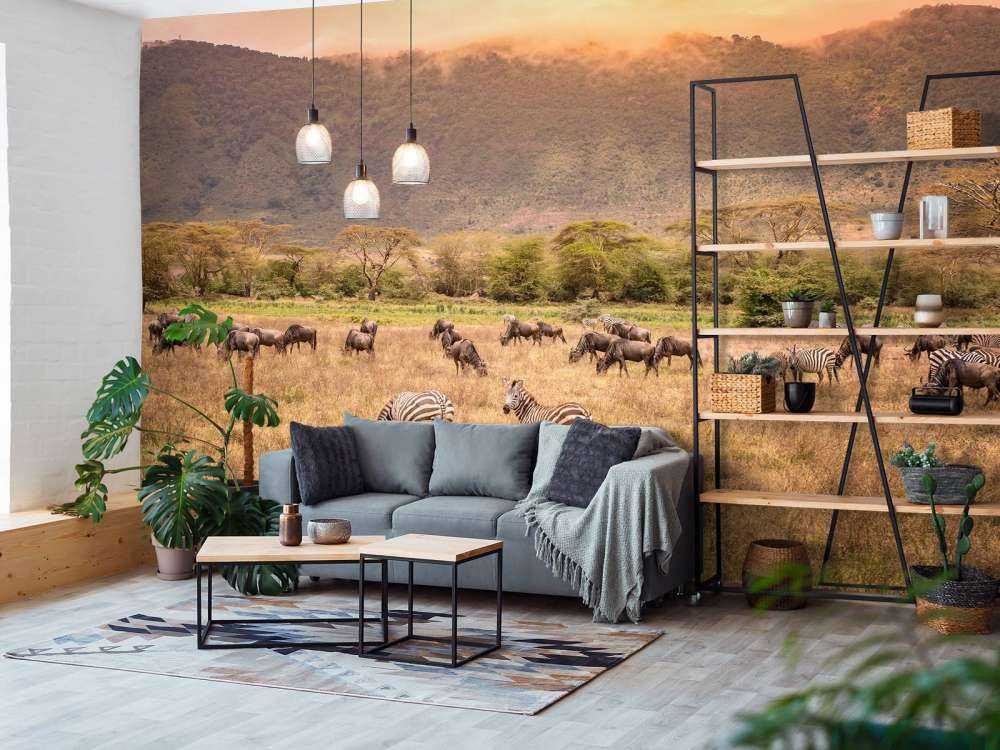 Krajobraz sawanny z zebrami