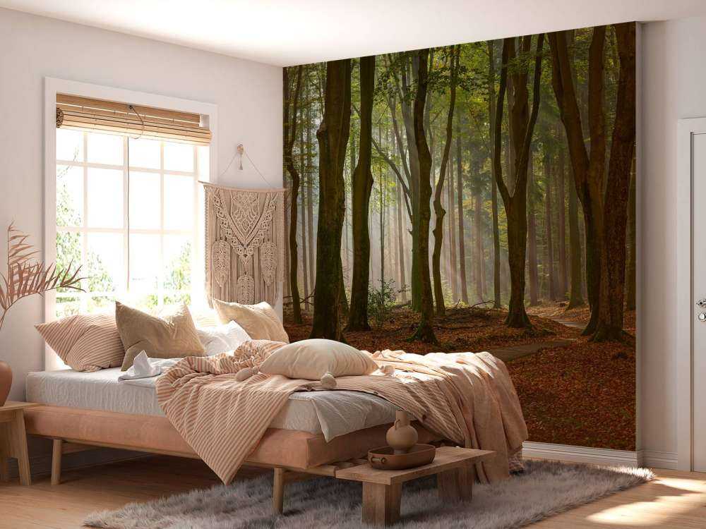 Promienie słońca na ścieżce przez las