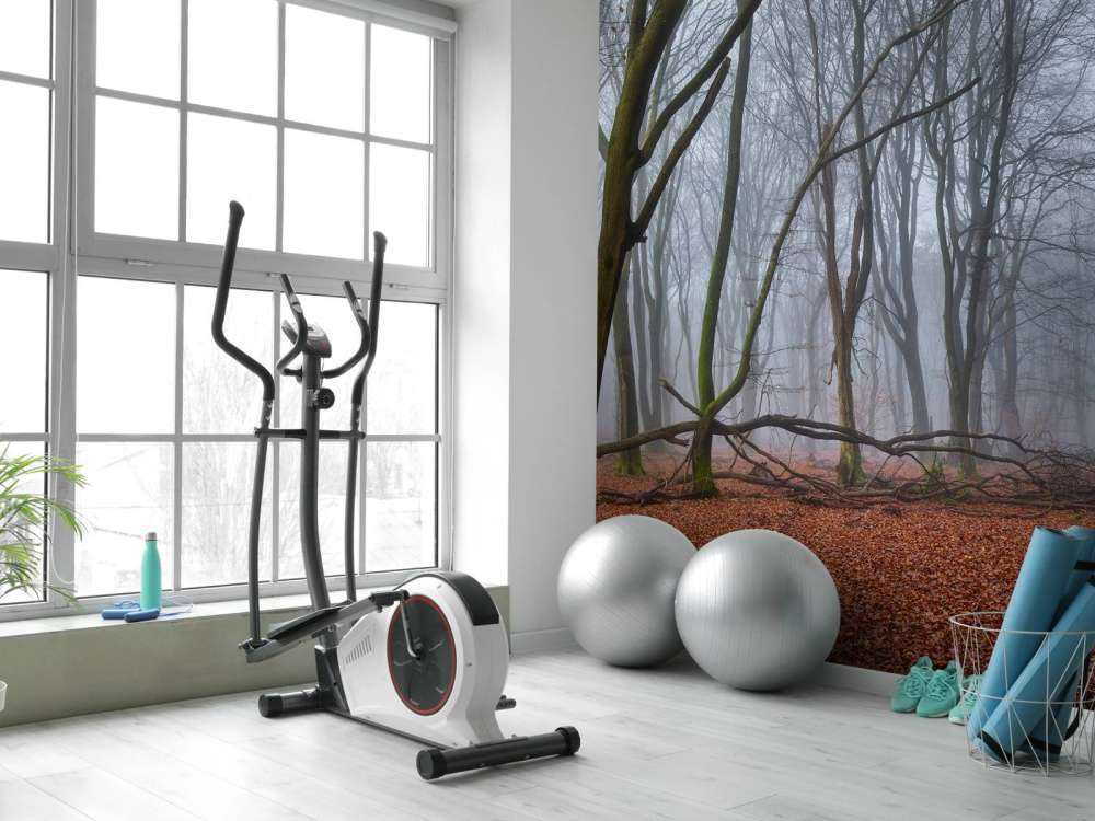 Tajemniczy, zamglony las