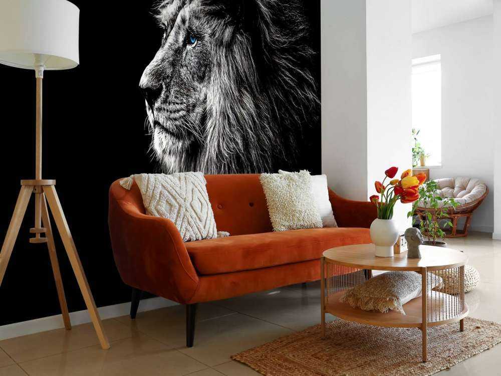 Lew z niebieskimi oczami