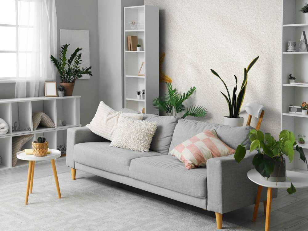 Gwiazdy na białym piasku