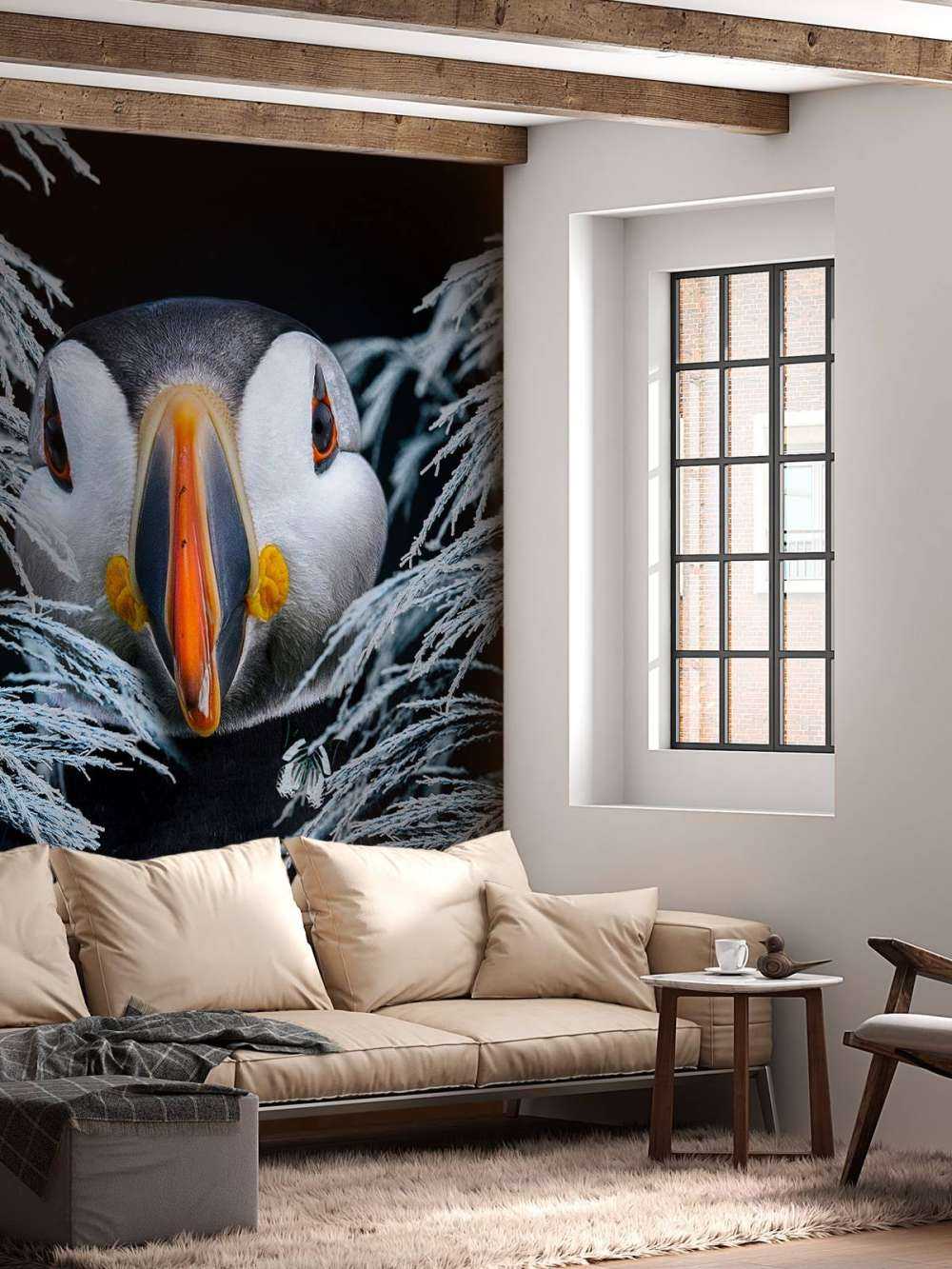 Atlantic Puffins Portrecie