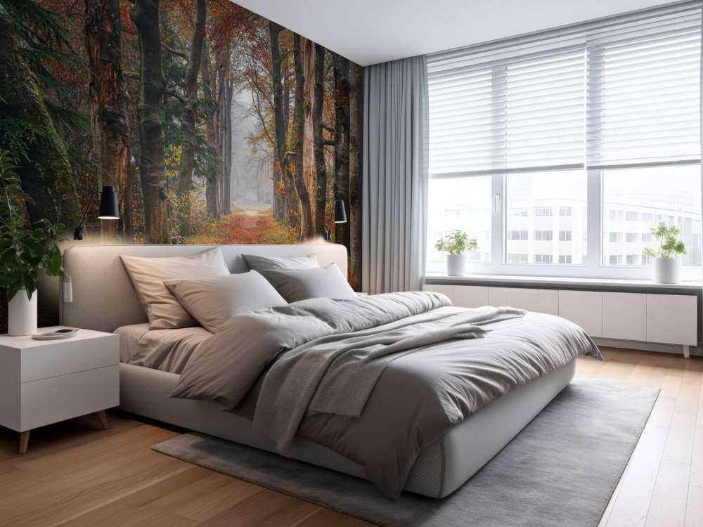 Leśna ścieżka ze starymi drzewami