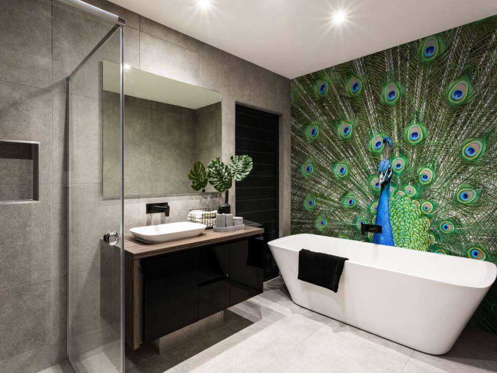 Paw z rozszerzonymi piórami