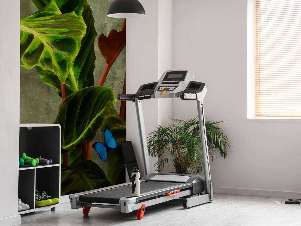 Zielona roślina z motylami