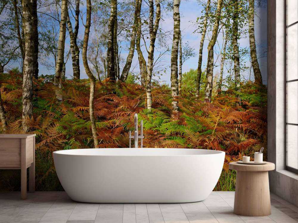 Brzozy z kolorowymi paprociami