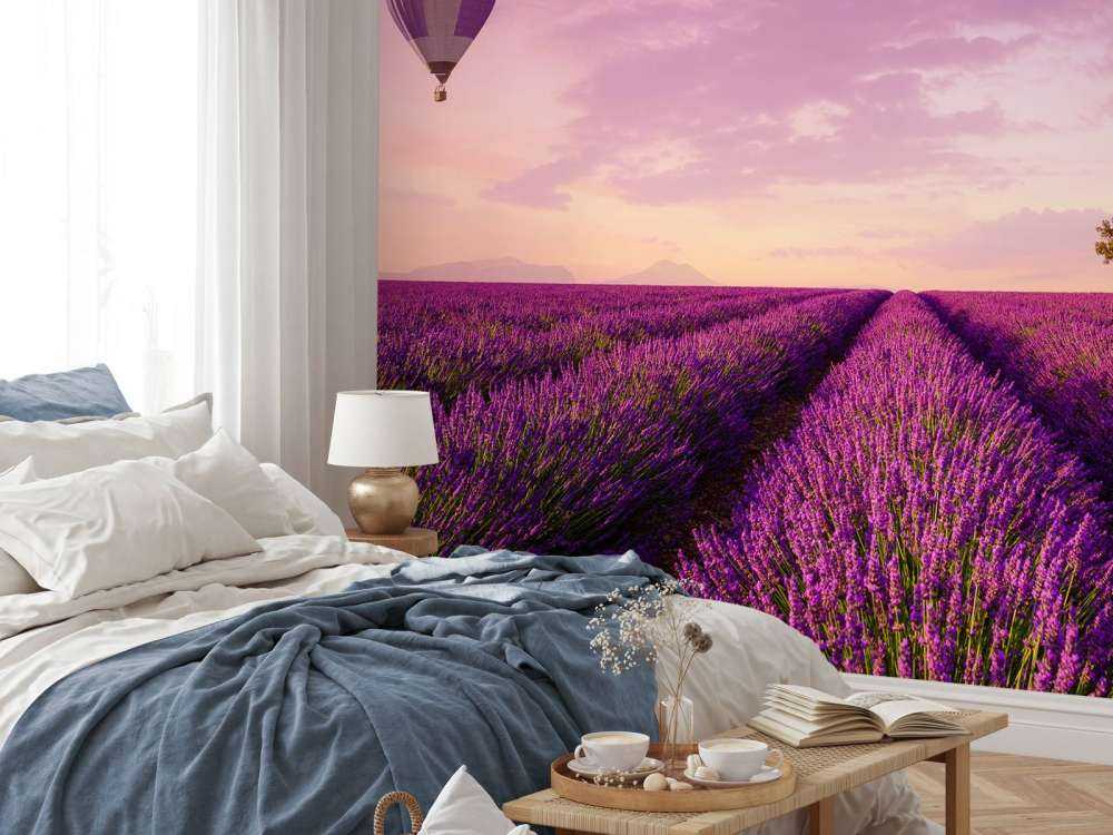 Lawendowe pole i balon na gorące powietrze