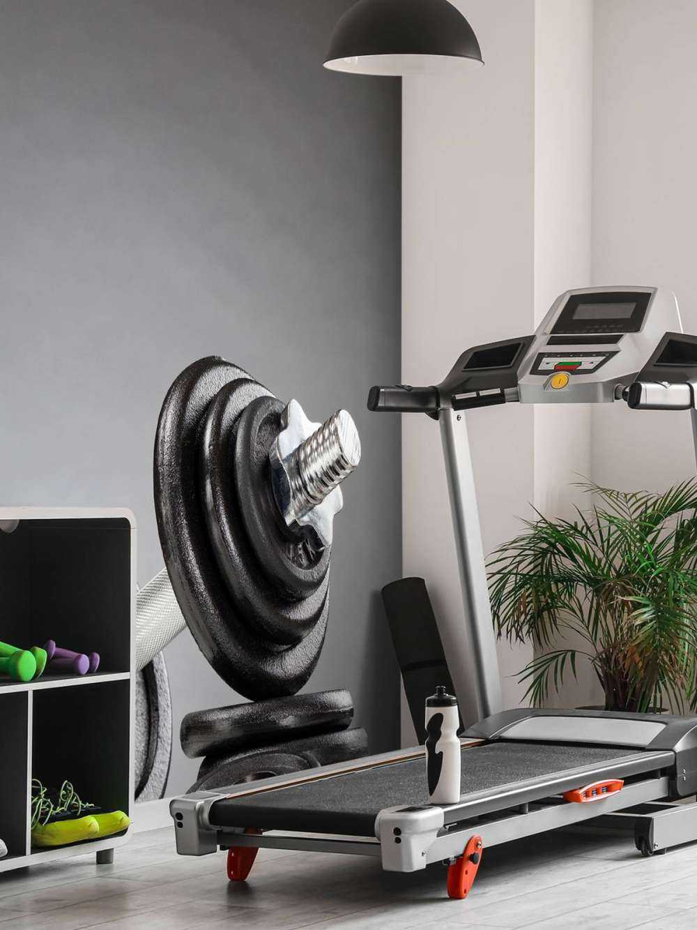 Dumbell z czarnymi tarczami