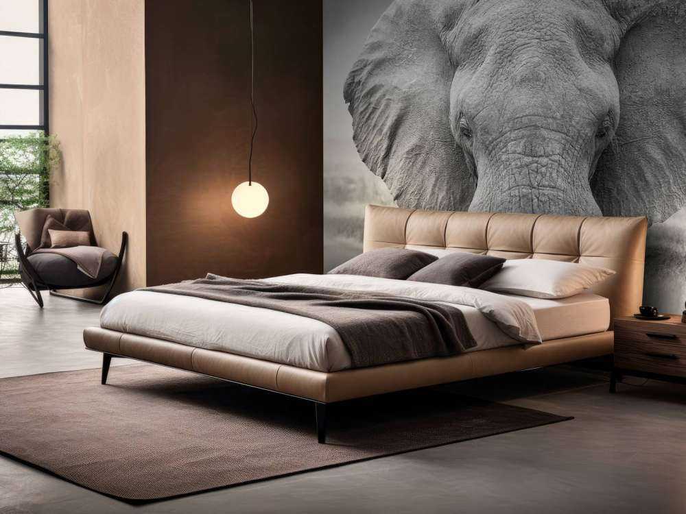 Słoń czarno-biały