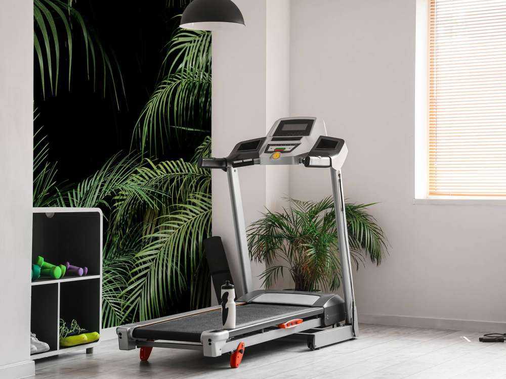 Roślina z zielonymi liśćmi