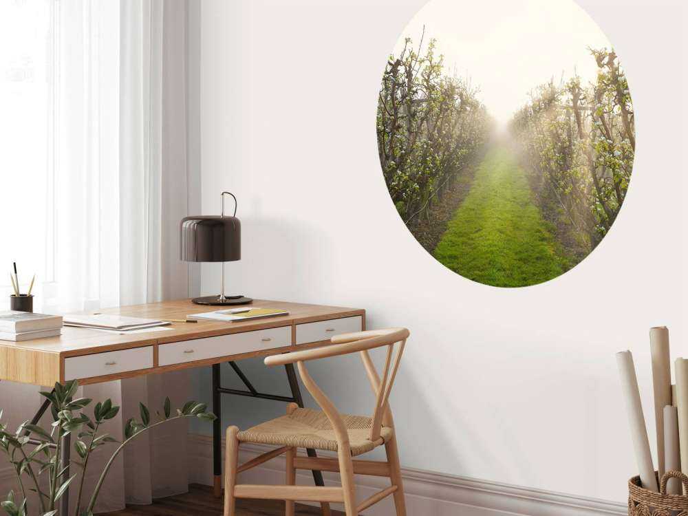 Kwiat gruszy we mgle