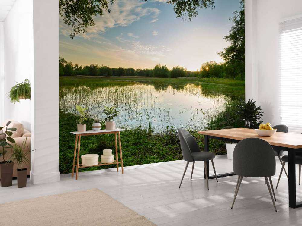 Zachód słońca w lesie