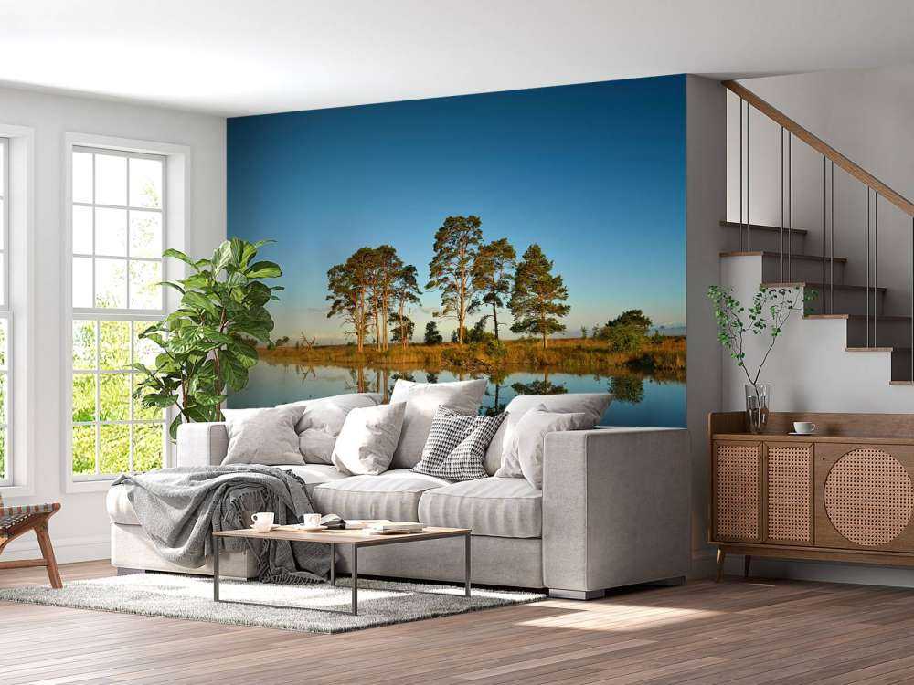 Odbicie w jeziorze leśnym