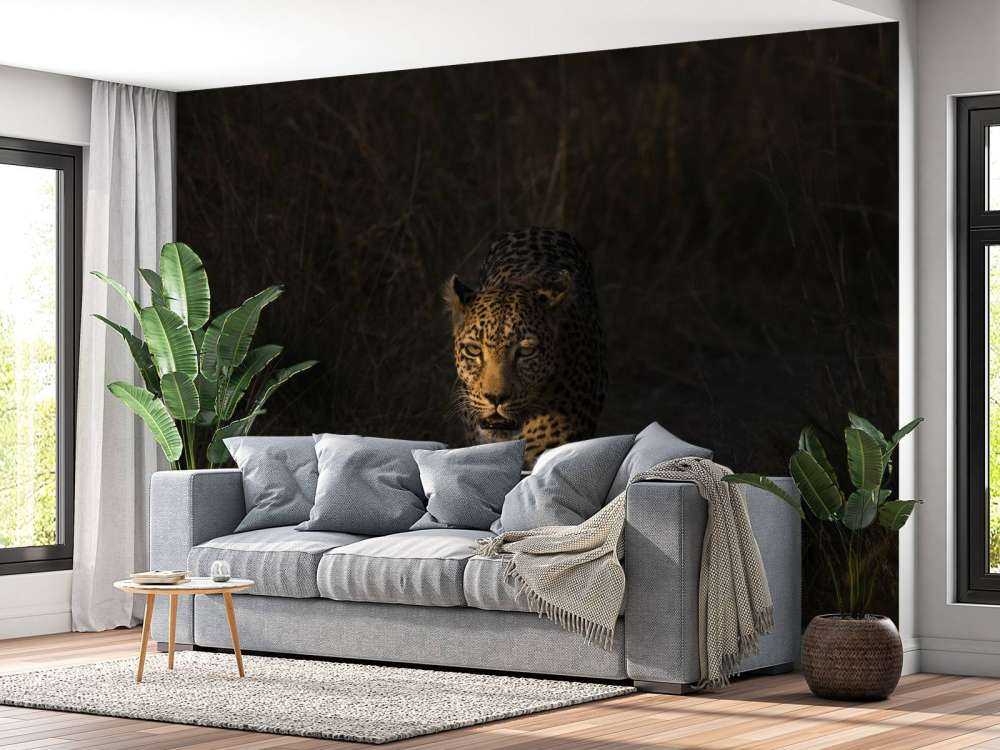 Lampart na tle zachodzącego słońca