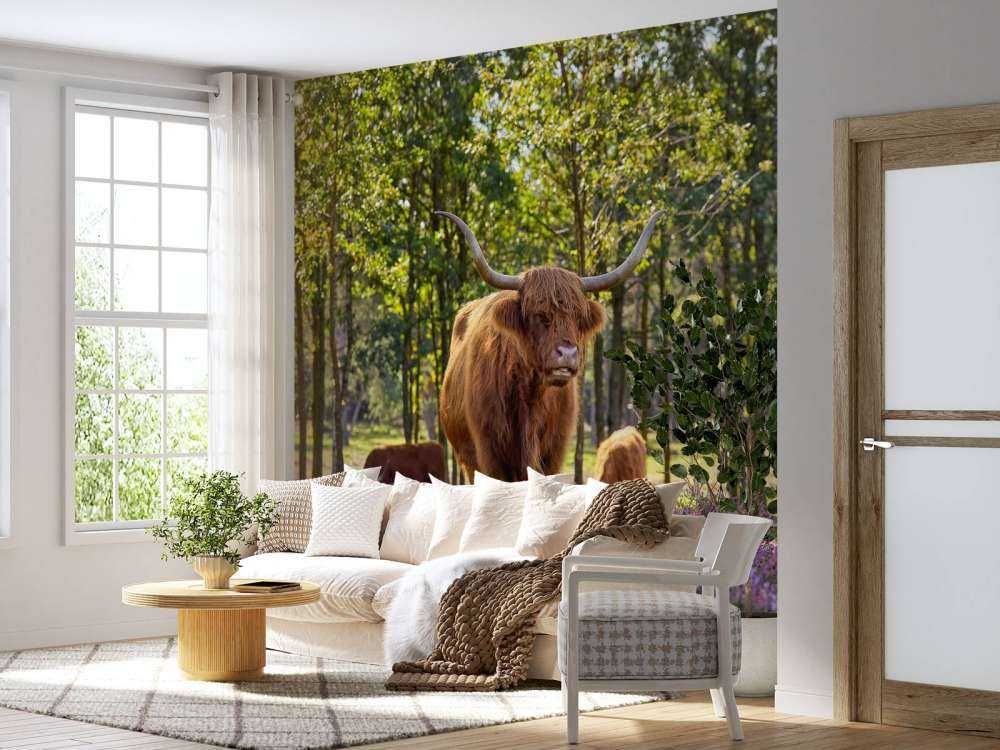 Wyżynny w rezerwacie przyrody