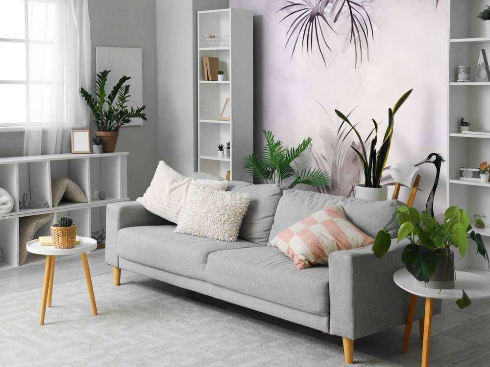 Żurawie w Białym Polu