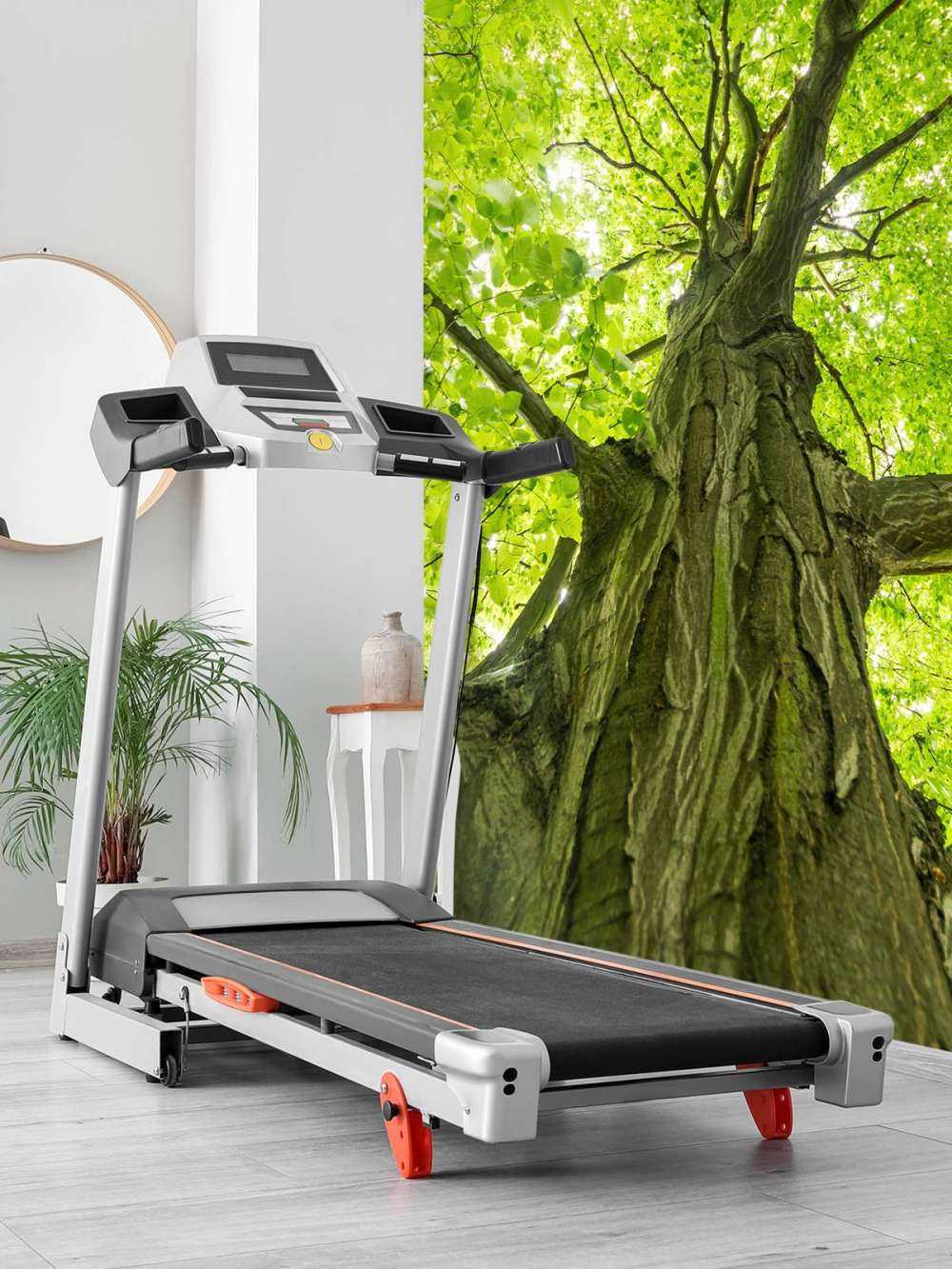 Duże drzewo w lesie