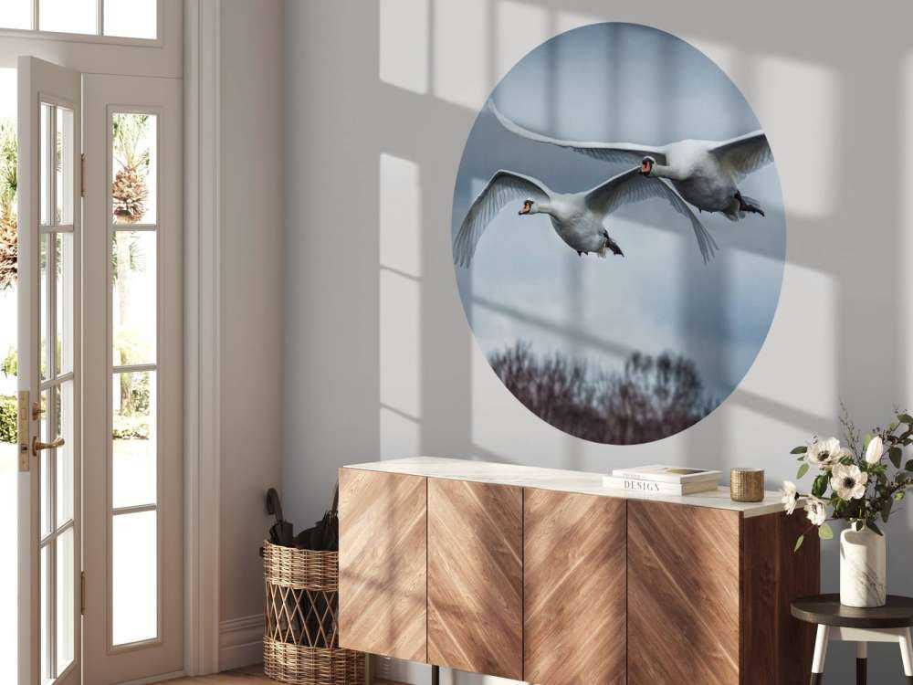 Latające łabędzie