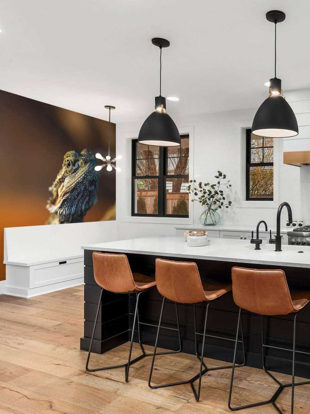 Kameleon w zbliżeniu