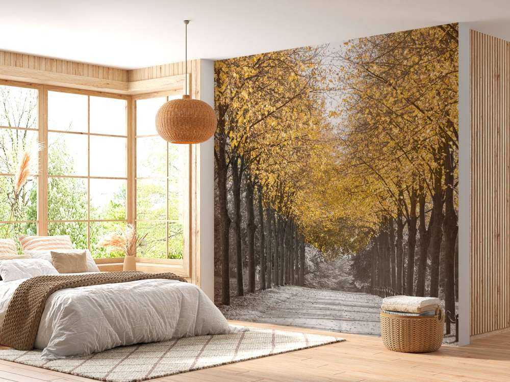 Ścieżka wśród drzew