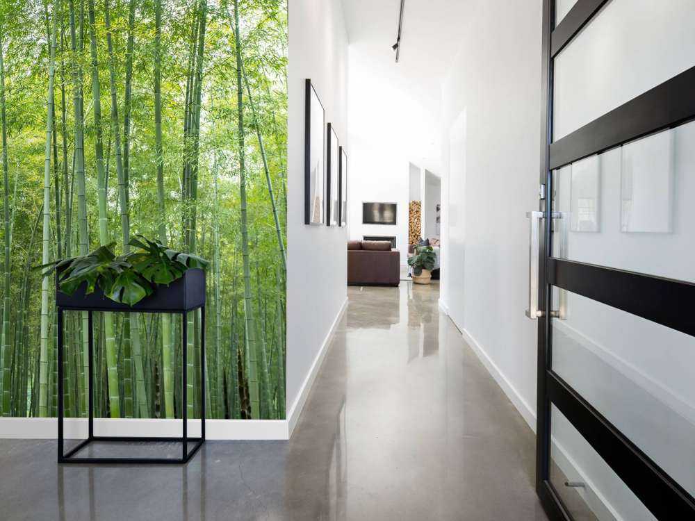 Zielony las bambusowy