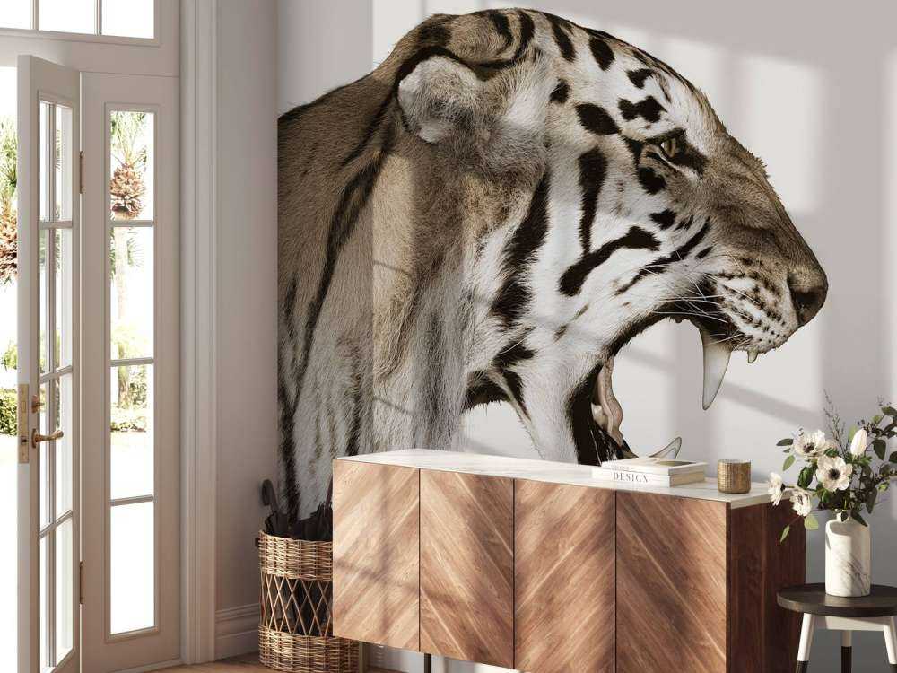 Ryczący tygrys offwhite