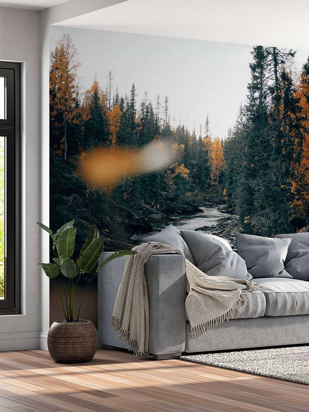 Zaczarowany jesienny las