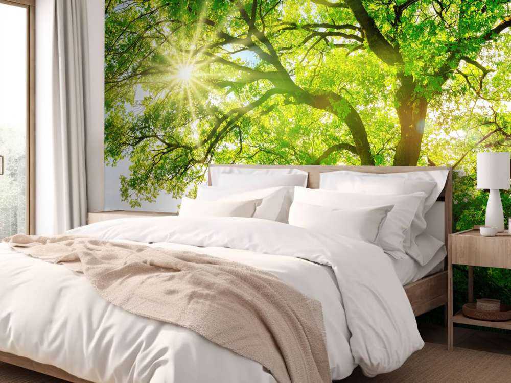 Drzewo z promieniami słońca