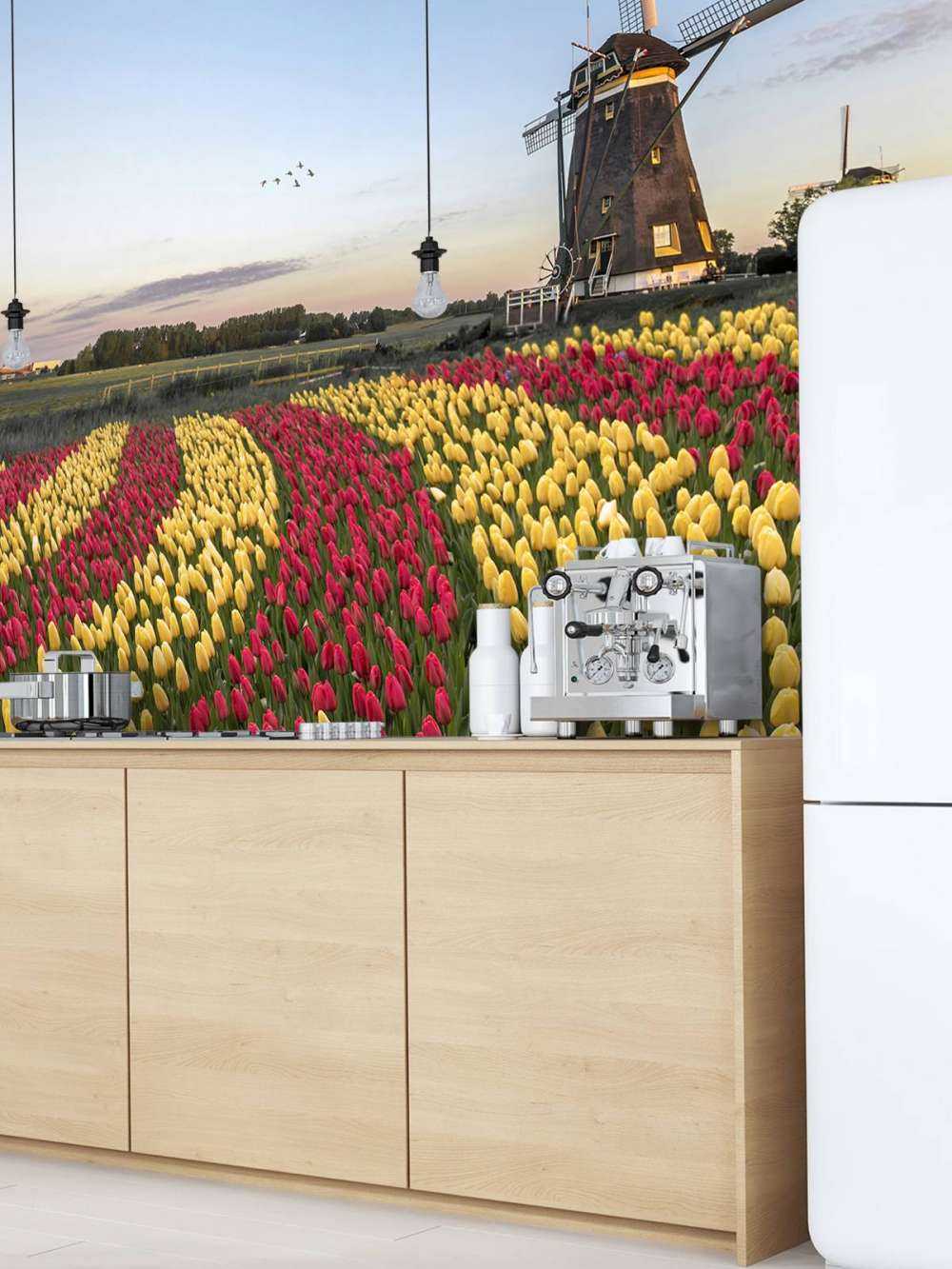 Holenderskie pole tulipanów